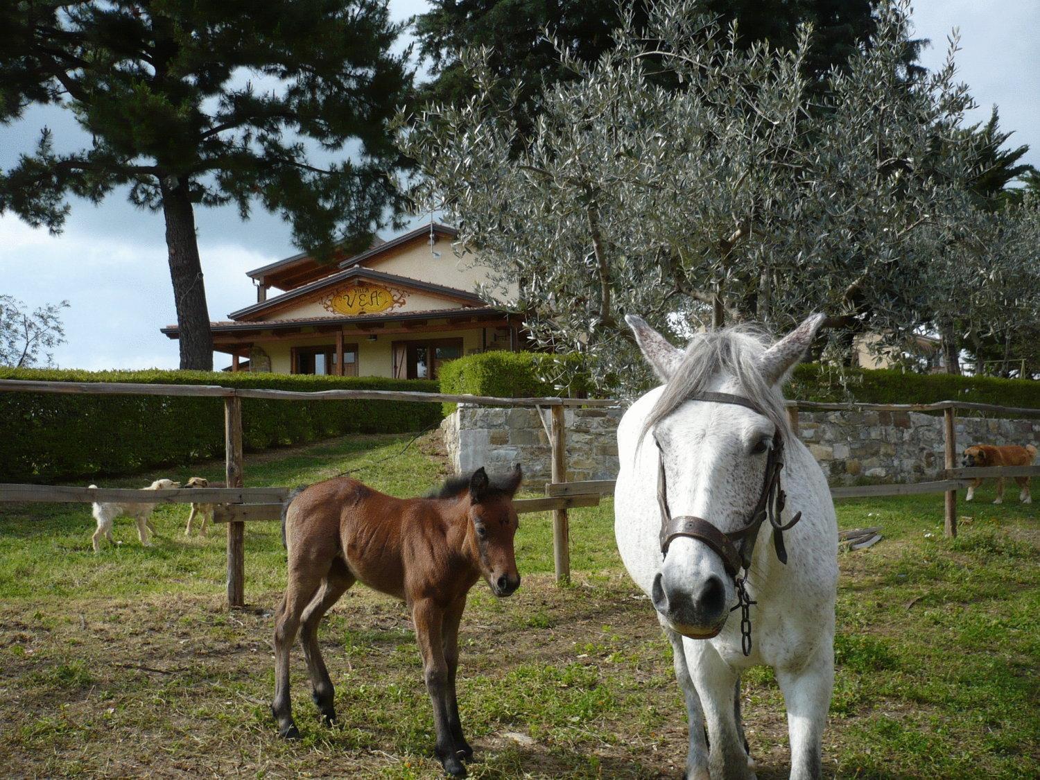 Agriturismo Villa Vea Bellosguardo Zewnętrze zdjęcie