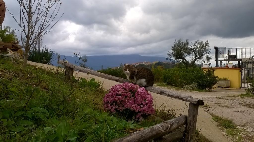 Agriturismo Villa Vea Bellosguardo Zewnętrze zdjęcie